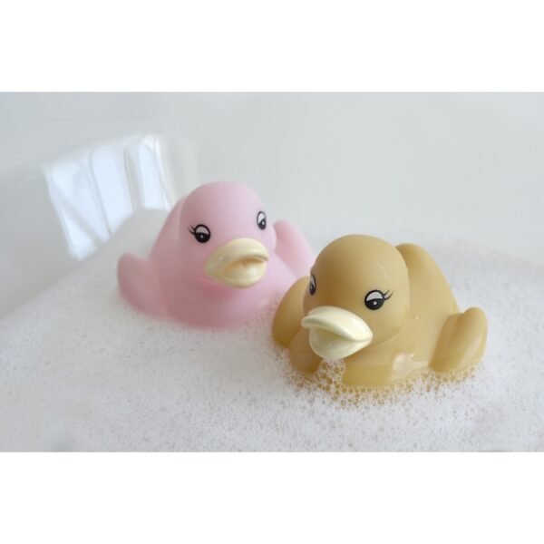 Boite canard de bain2